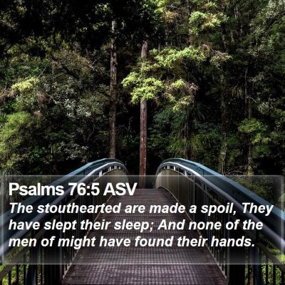 Psalms 76:5 ASV Bible Verse Image