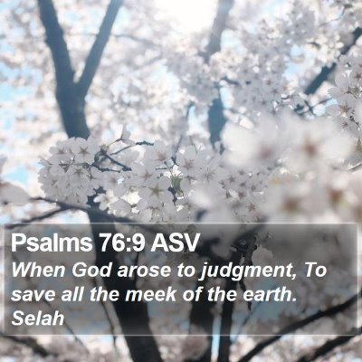Psalms 76:9 ASV Bible Verse Image