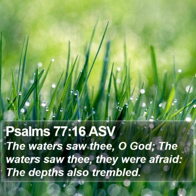 Psalms 77:16 ASV Bible Verse Image