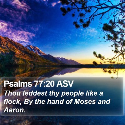 Psalms 77:20 ASV Bible Verse Image