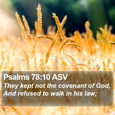 Psalms 78:10 ASV Bible Verse Image