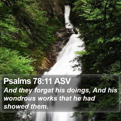 Psalms 78:11 ASV Bible Verse Image