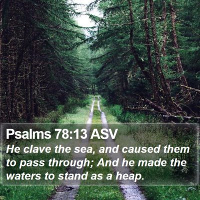 Psalms 78:13 ASV Bible Verse Image
