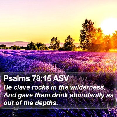 Psalms 78:15 ASV Bible Verse Image
