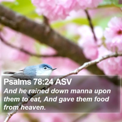 Psalms 78:24 ASV Bible Verse Image