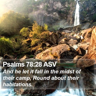 Psalms 78:28 ASV Bible Verse Image