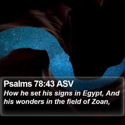 Psalms 78:43 ASV Bible Verse Image