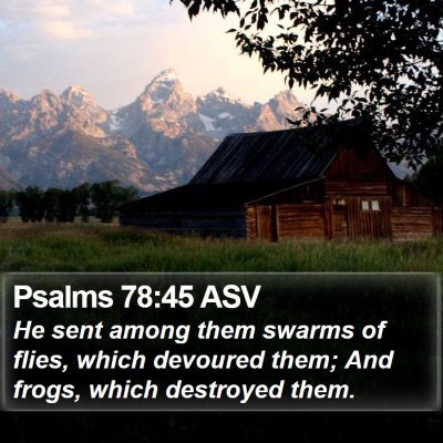 Psalms 78:45 ASV Bible Verse Image
