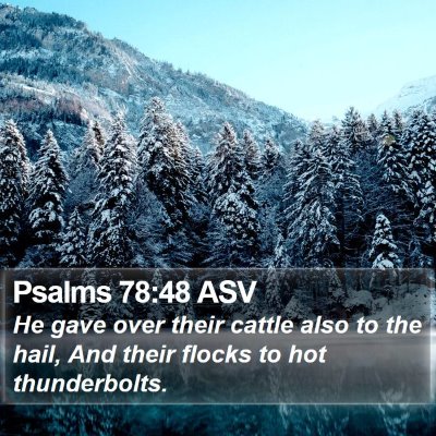 Psalms 78:48 ASV Bible Verse Image