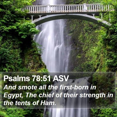 Psalms 78:51 ASV Bible Verse Image