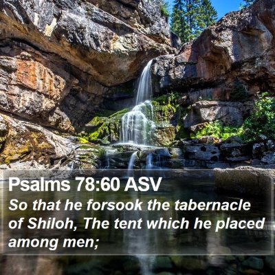 Psalms 78:60 ASV Bible Verse Image