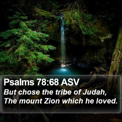 Psalms 78:68 ASV Bible Verse Image