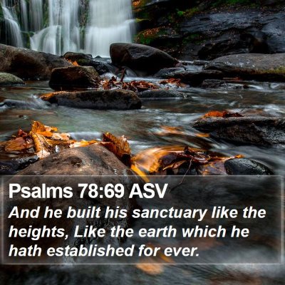 Psalms 78:69 ASV Bible Verse Image