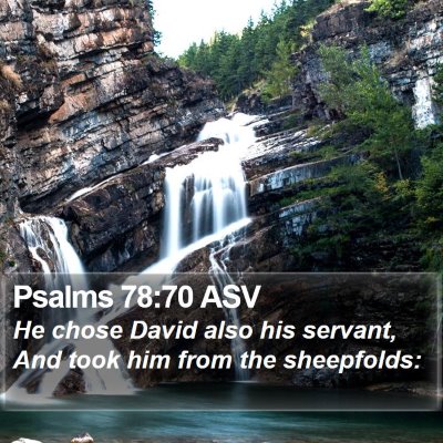 Psalms 78:70 ASV Bible Verse Image