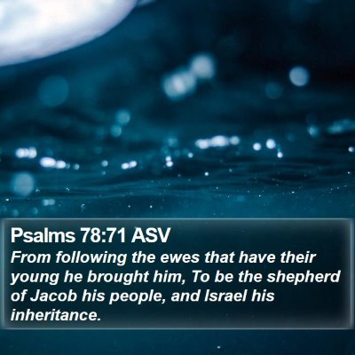 Psalms 78:71 ASV Bible Verse Image