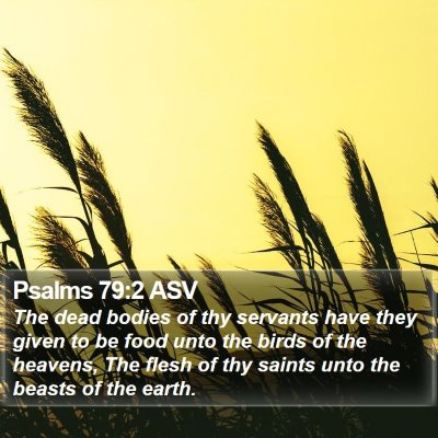Psalms 79:2 ASV Bible Verse Image