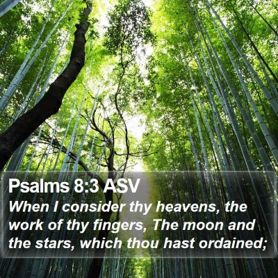 Psalms 8:3 ASV Bible Verse Image