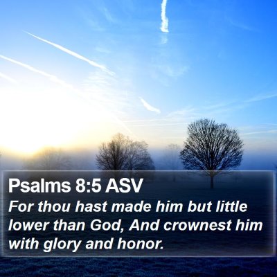 Psalms 8:5 ASV Bible Verse Image