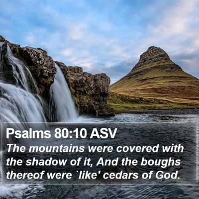 Psalms 80:10 ASV Bible Verse Image