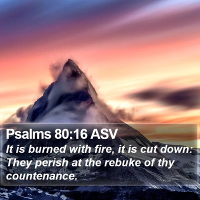Psalms 80:16 ASV Bible Verse Image