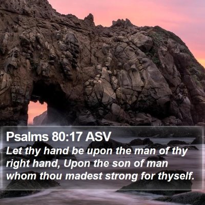 Psalms 80:17 ASV Bible Verse Image