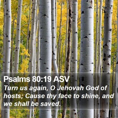 Psalms 80:19 ASV Bible Verse Image