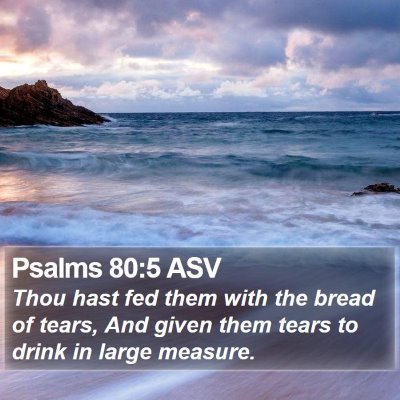 Psalms 80:5 ASV Bible Verse Image