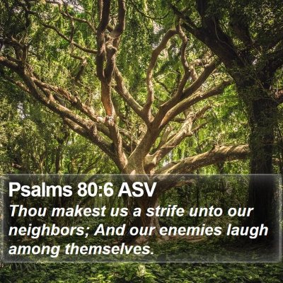 Psalms 80:6 ASV Bible Verse Image