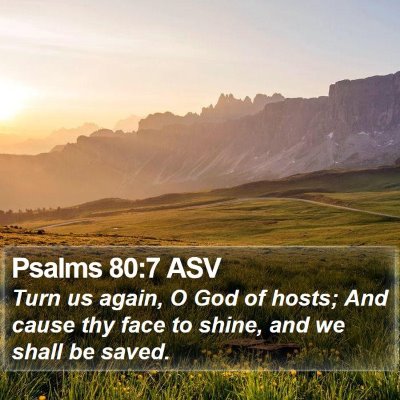 Psalms 80:7 ASV Bible Verse Image