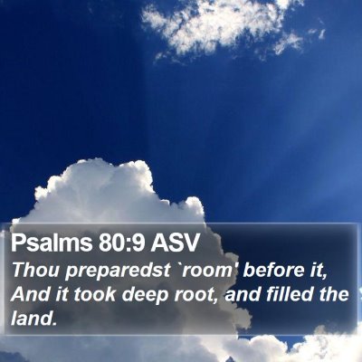 Psalms 80:9 ASV Bible Verse Image