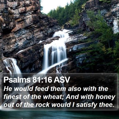 Psalms 81:16 ASV Bible Verse Image