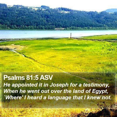 Psalms 81:5 ASV Bible Verse Image
