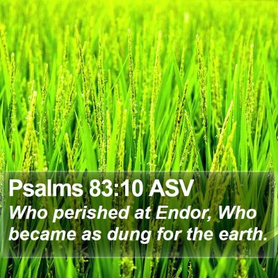Psalms 83:10 ASV Bible Verse Image