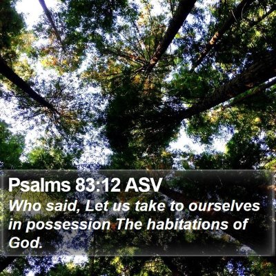 Psalms 83:12 ASV Bible Verse Image