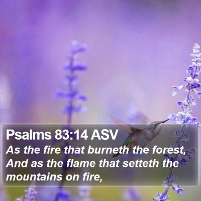Psalms 83:14 ASV Bible Verse Image