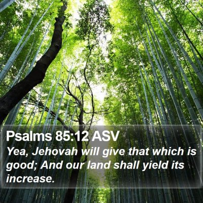 Psalms 85:12 ASV Bible Verse Image