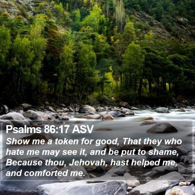 Psalms 86:17 ASV Bible Verse Image