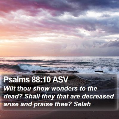 Psalms 88:10 ASV Bible Verse Image