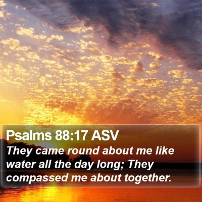 Psalms 88:17 ASV Bible Verse Image