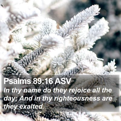 Psalms 89:16 ASV Bible Verse Image