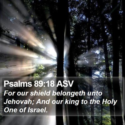 Psalms 89:18 ASV Bible Verse Image