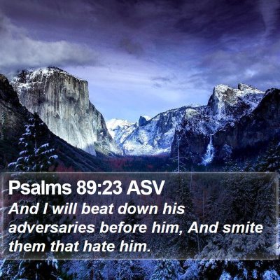 Psalms 89:23 ASV Bible Verse Image