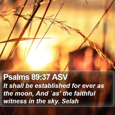 Psalms 89:37 ASV Bible Verse Image