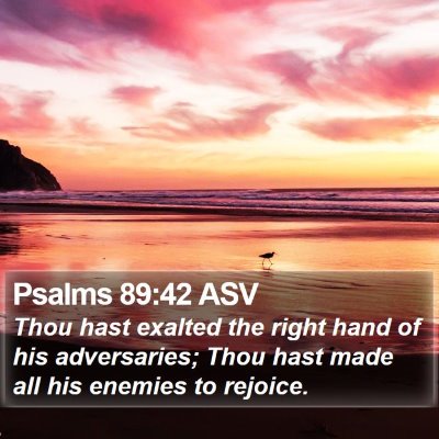 Psalms 89:42 ASV Bible Verse Image