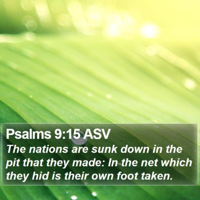 Psalms 9:15 ASV Bible Verse Image