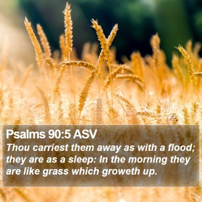Psalms 90:5 ASV Bible Verse Image