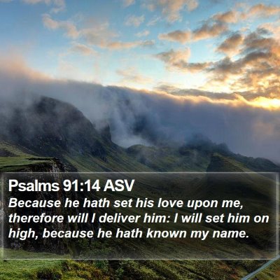 Psalms 91:14 ASV Bible Verse Image