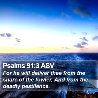 Psalms 91:3 ASV Bible Verse Image
