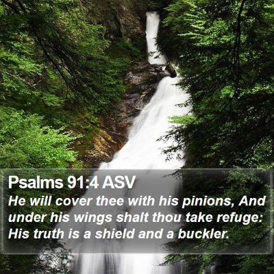 Psalms 91:4 ASV Bible Verse Image