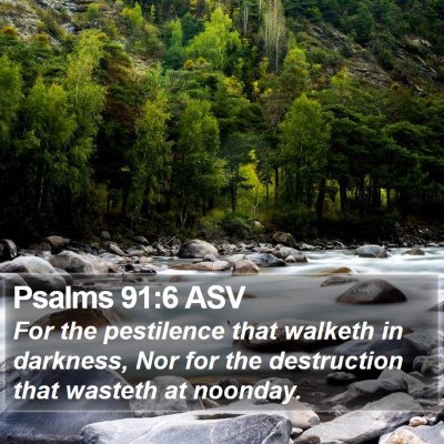 Psalms 91:6 ASV Bible Verse Image